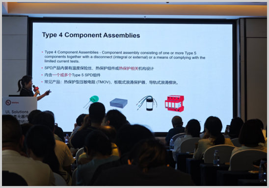 尊龙凯时人生就是搏检测受邀加入UL；だ嘣骷标准专题钻研会-4.jpg